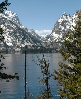 Cascade Canyon - Grand Teton National Park