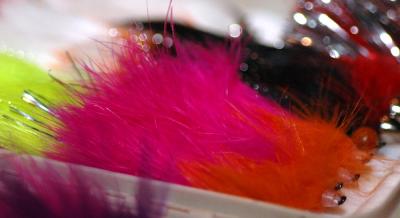 Showgirl