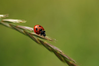 _DSC3476_20110721.jpg