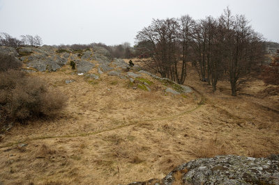 _DSC8780.jpg