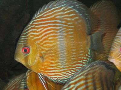 IMG_1349.JPG