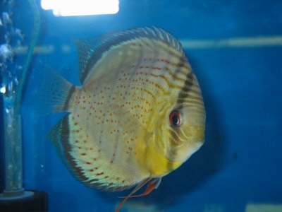 IMG_1597.JPG