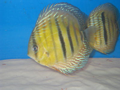 IMG_8859.JPG