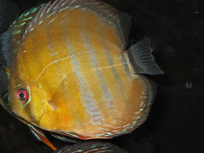 IMG_2703.JPG