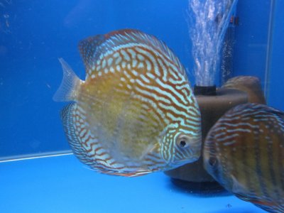 IMG_3212.JPG