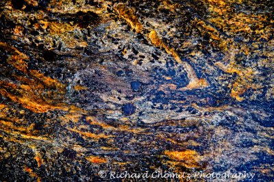 524_Martingal_709_Edit.jpg
