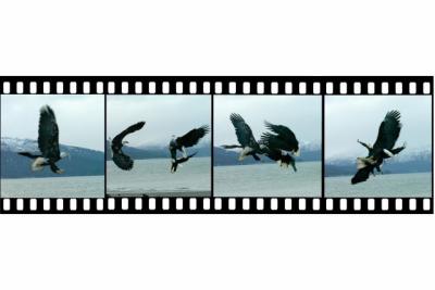 Air Intercept film strip.jpg