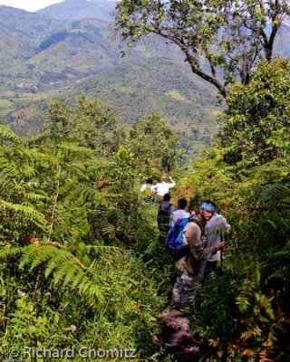 David_Bunyoni_Bwindi_11.jpg