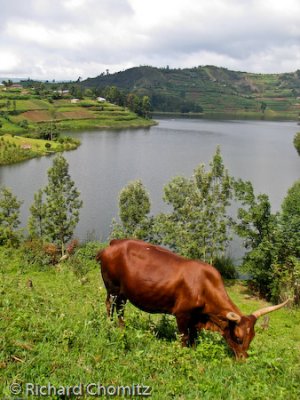 David_Bunyoni_Bwindi_3.jpg