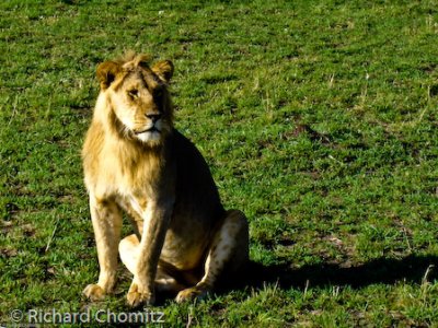 Wayne_Kenya_Safari_11.jpg