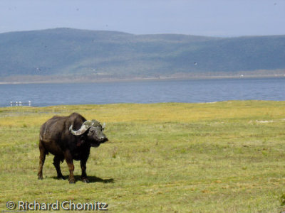 Wayne_Kenya_Safari_32.jpg