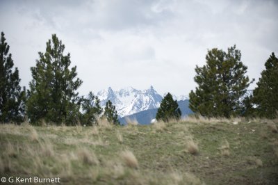 Trapper Peak