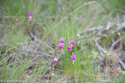 D3S_0097.jpg