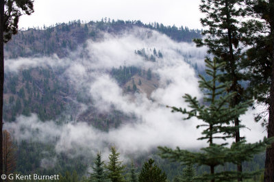 Mountain Fog