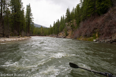 Bitterroot River