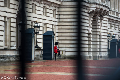 Buckingham Palace Changing of Guard