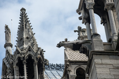 Notre Dame Gargoyles