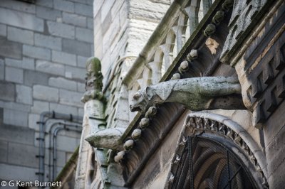Notre Dame Gargoyles