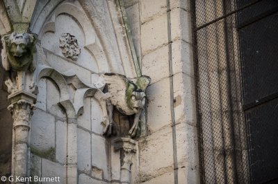 Notre Dame Gargoyles
