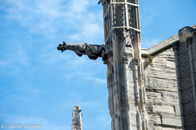 Notre Dame Gargoyles