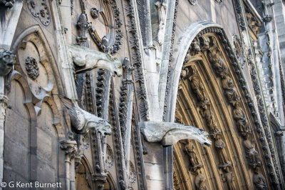 Notre Dame Gargoyles