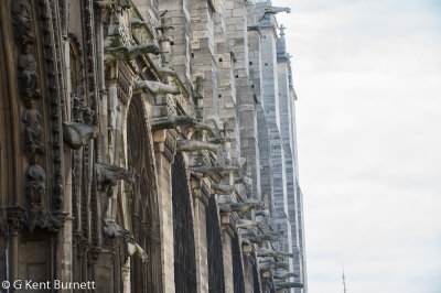 Notre Dame Gargoyles