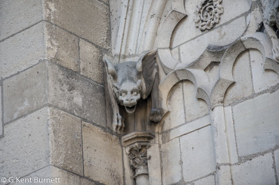 Notre Dame Gargoyles