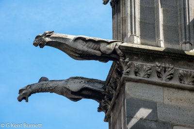 Notre Dame Gargoyles