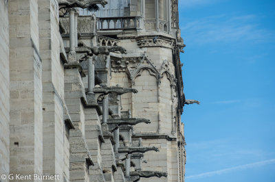 Notre Dame Gargoyles