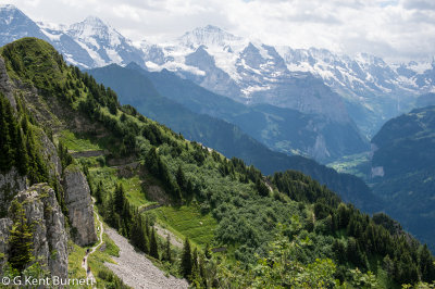Schynige Platte