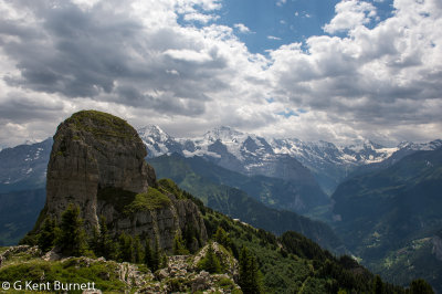 Schynige Platte