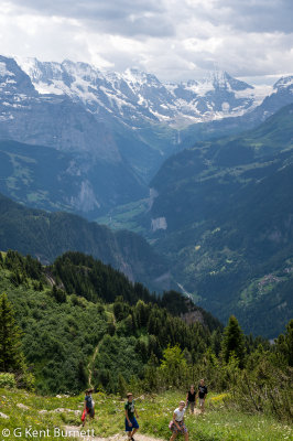 Schynige Platte