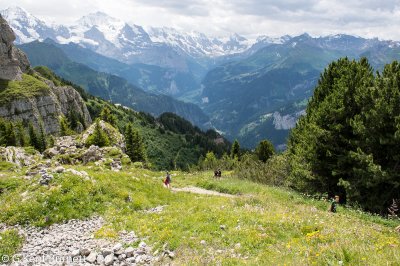 Schynige Platte
