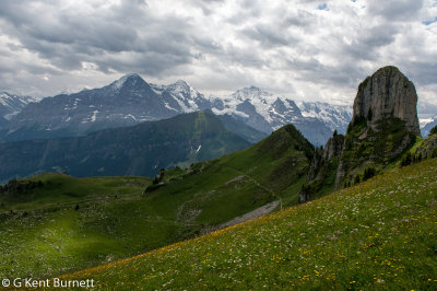 Schynige Platte