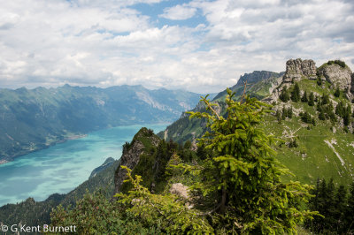 Schynige Platte