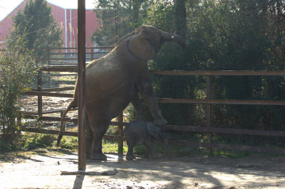 Amy and Miss Betts