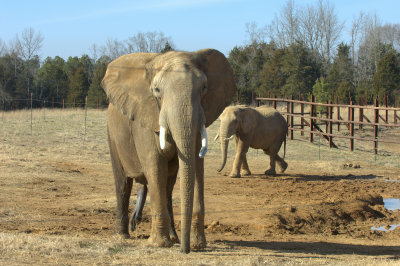 Solomon & Toby