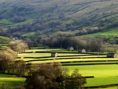 Swaledale