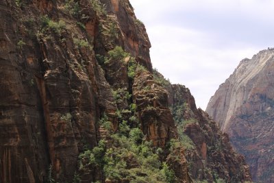 Zion IMG_2647.jpg