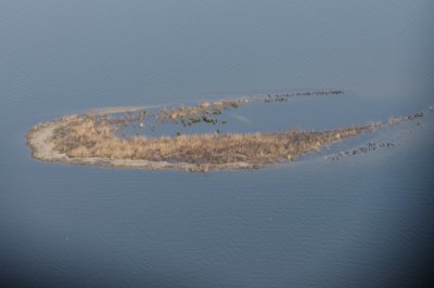 De Steile bank voor de Friese kust
