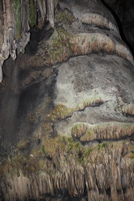 119.JPG