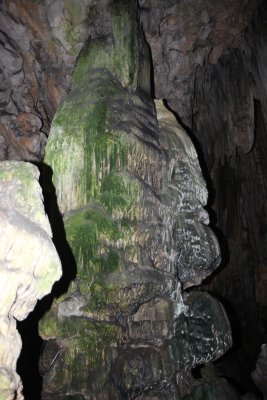 155.JPG