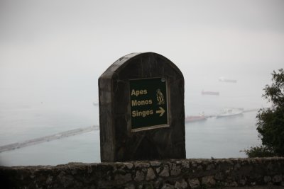 210.JPG
