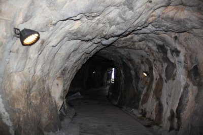 233.JPG