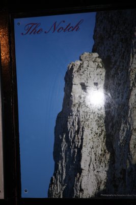 241.JPG