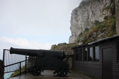 251.JPG