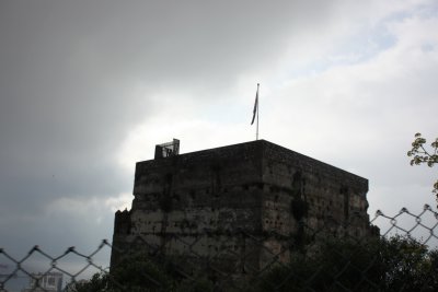 253.JPG
