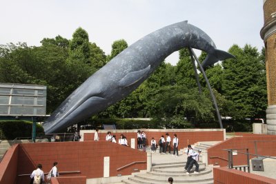 National Tokyo Museum