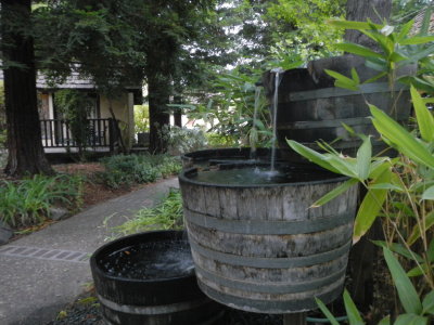 napa 2012 070.JPG