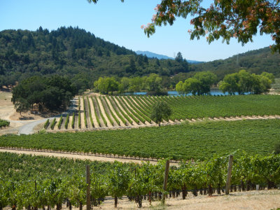 napa_2012-13.jpg